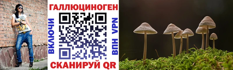 Галлюциногенные грибы Cubensis  Шумиха 